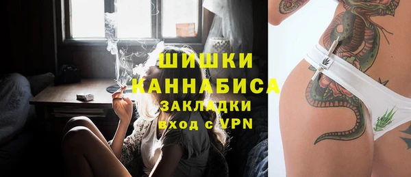 дживик Абаза
